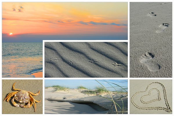 Amrumer Segen - Nordseeinsel Amrum